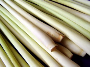 Lemon Grass
