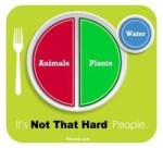 main-qimg-49b285d68e148841029408027e58e7d4